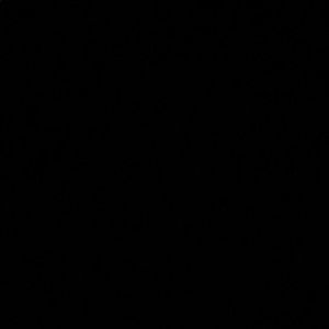 Meet your Posher, Celia